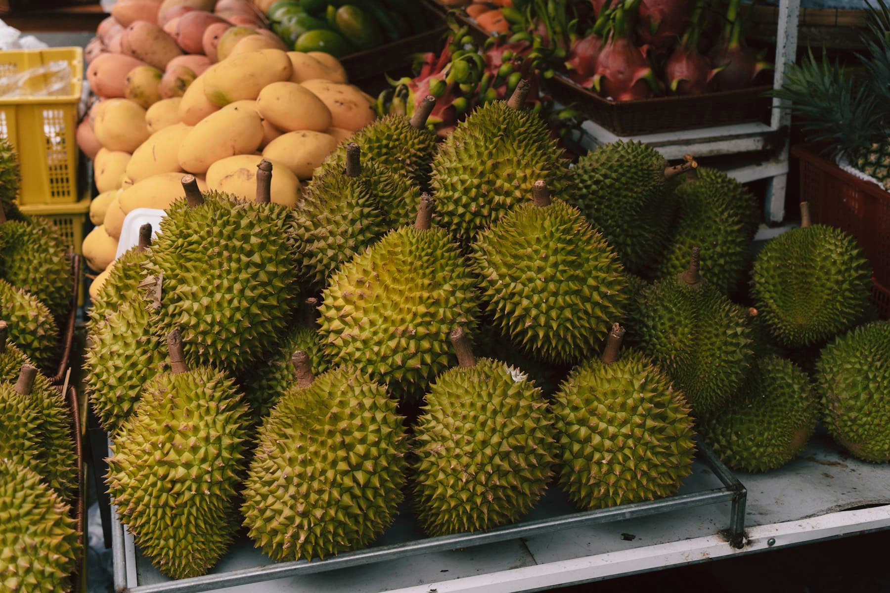 Premium fruit export