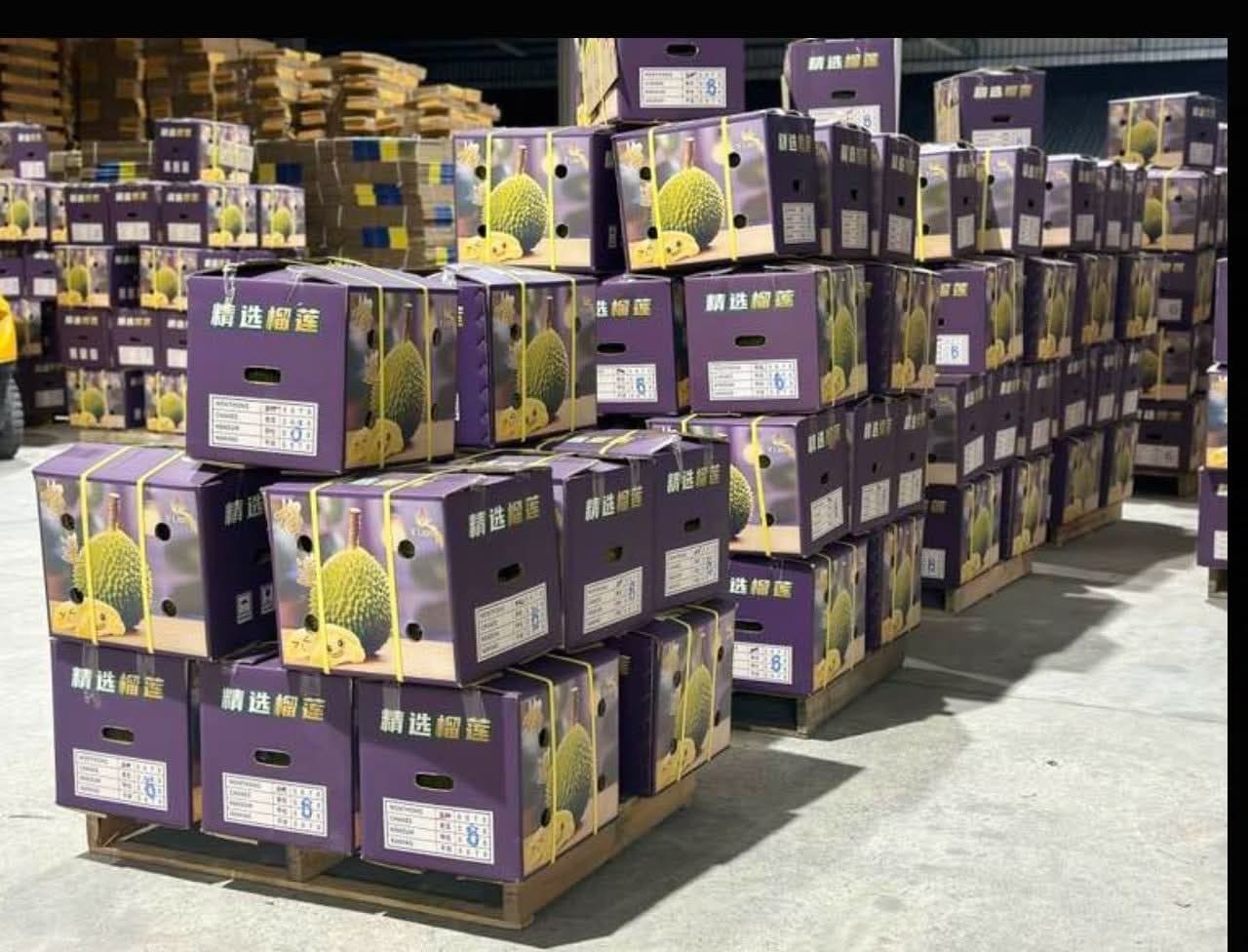 วงจรการคัดสรรและจัดส่ง