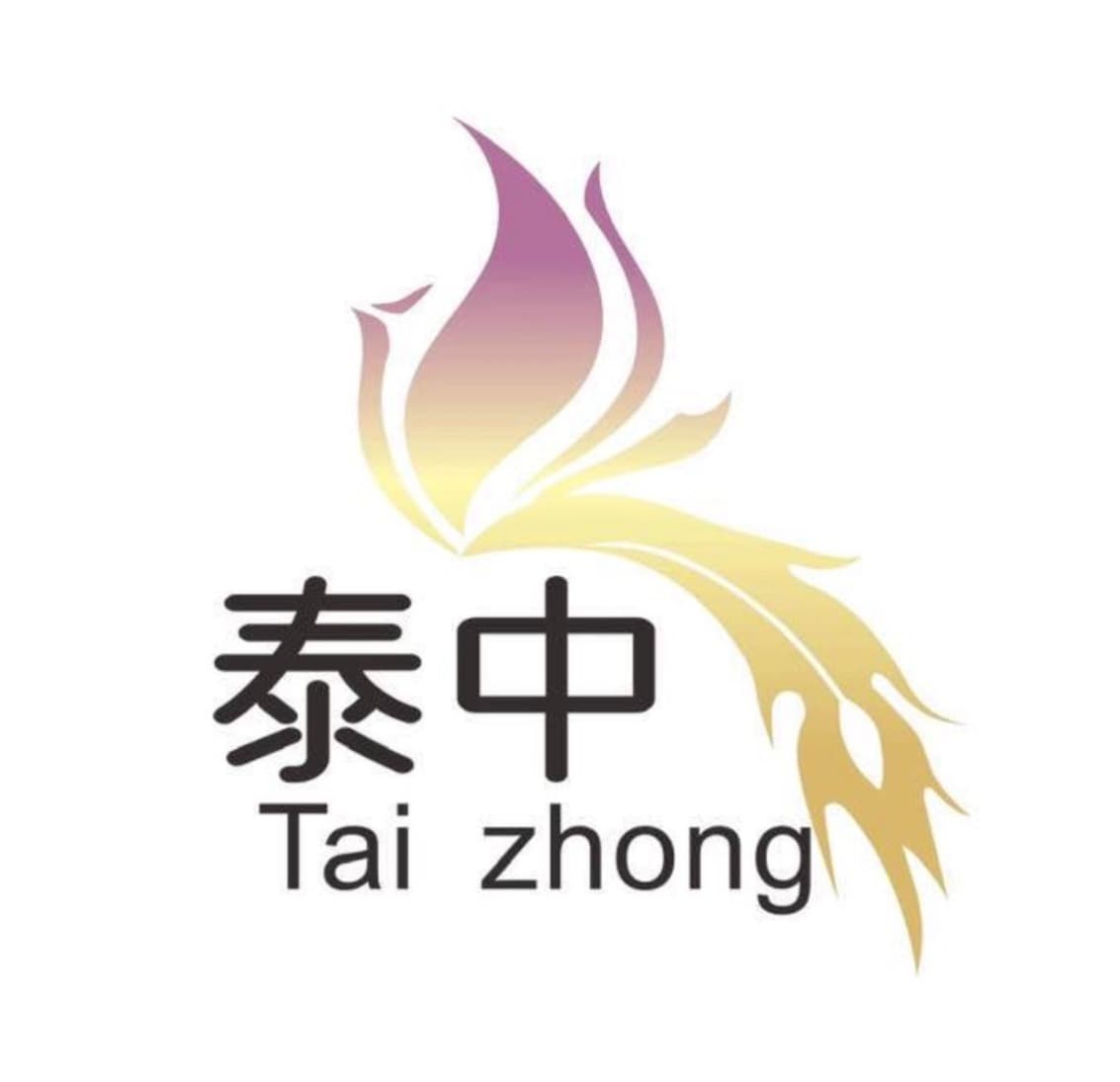 Tai Zhong